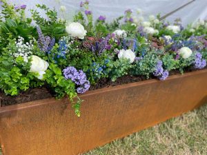 corten steel trough planter at the start of the weathering process with plants growing inside on a grass garden