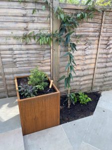 a small rectangle corten raised bed in an outdoor garden with wooden fence panels behind