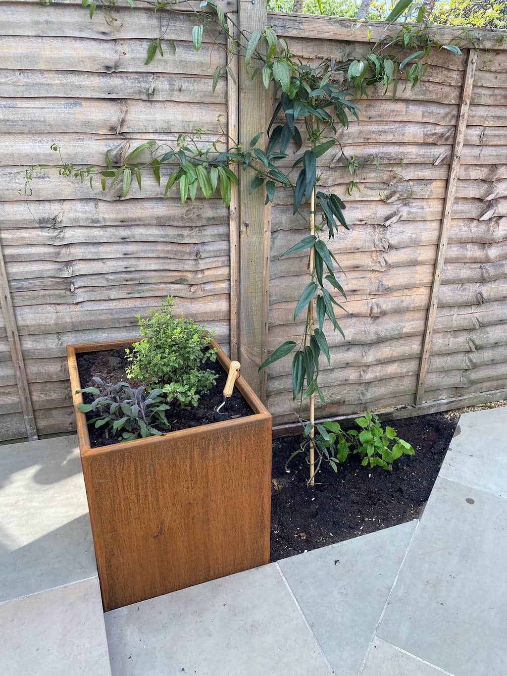 a small rectangle corten raised bed in an outdoor garden with wooden fence panels behind