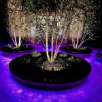 3 circular planters on a front drive with trees inside lit up with blue led lights