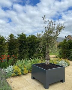 anthracite grey metal cube planter with large feet in an outdoor garden with a tree growing inside