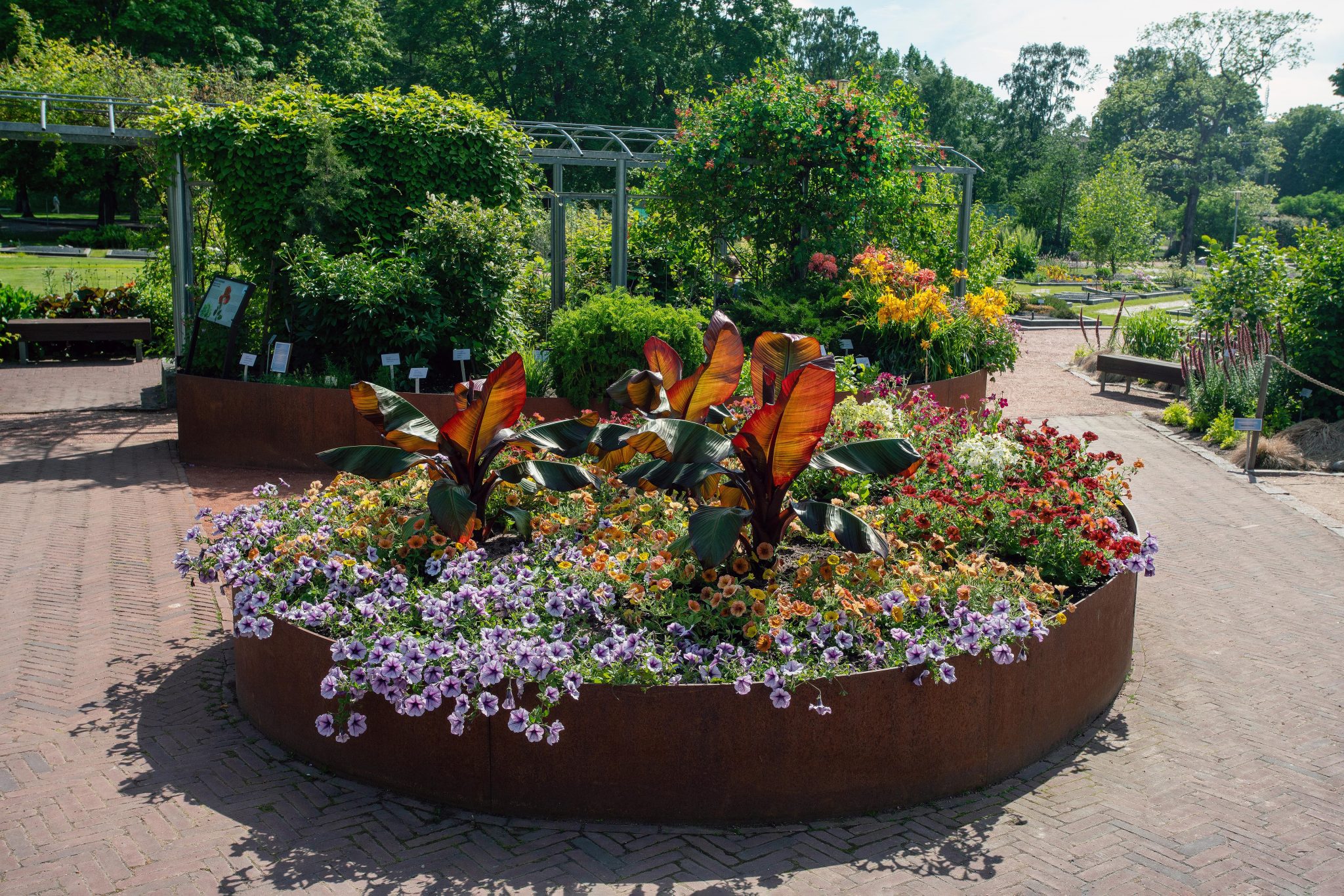 Circular Corten steel raised flower bed filled with summer bedding