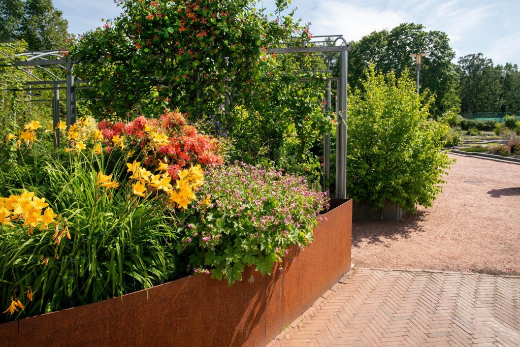 Corten Steel border in garden with plants