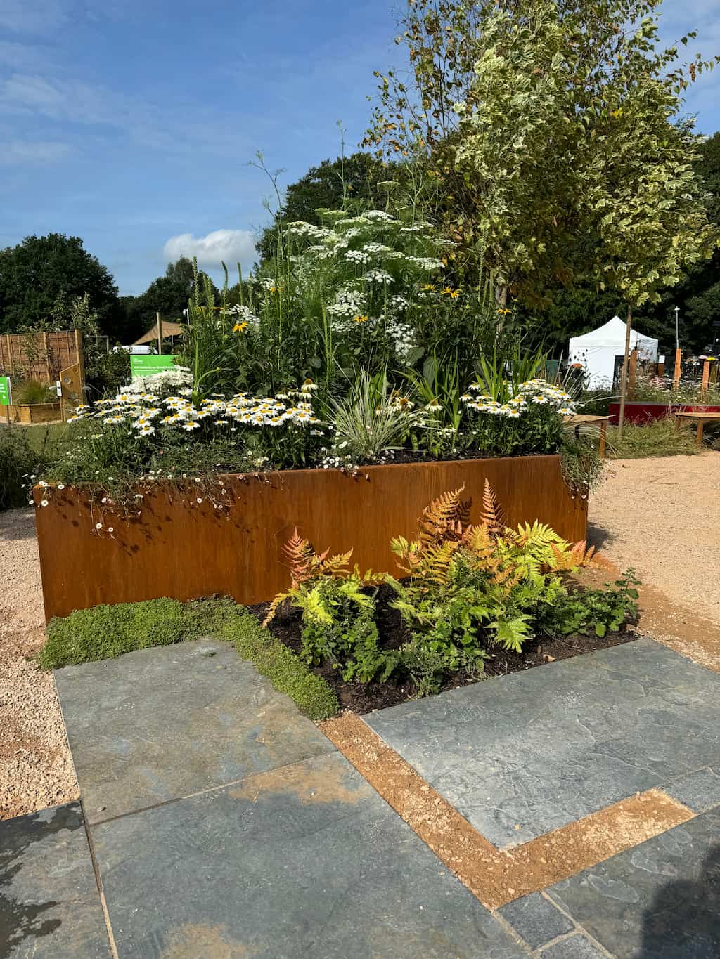 Bespoke corten steel planter rhs show garden 2 Large rusty orange corten steel planter with green plants growing inside at a garden show