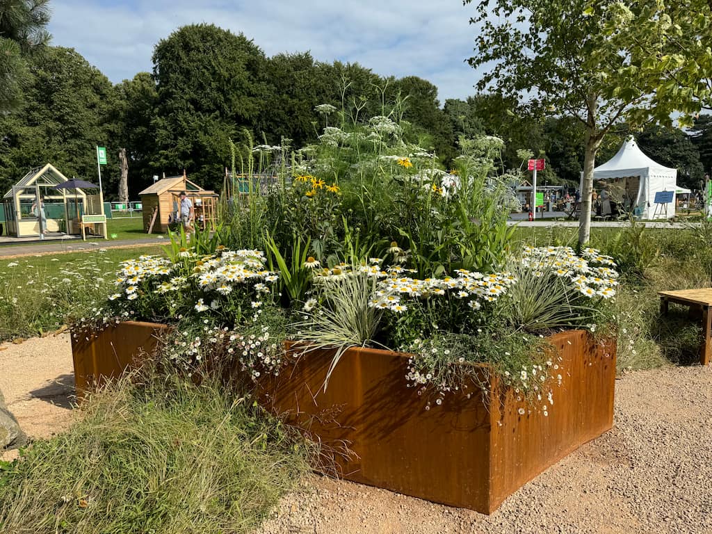 Bespoke corten steel planter rhs show garden 3 Large rusty orange corten steel planter with green plants growing inside at a garden show