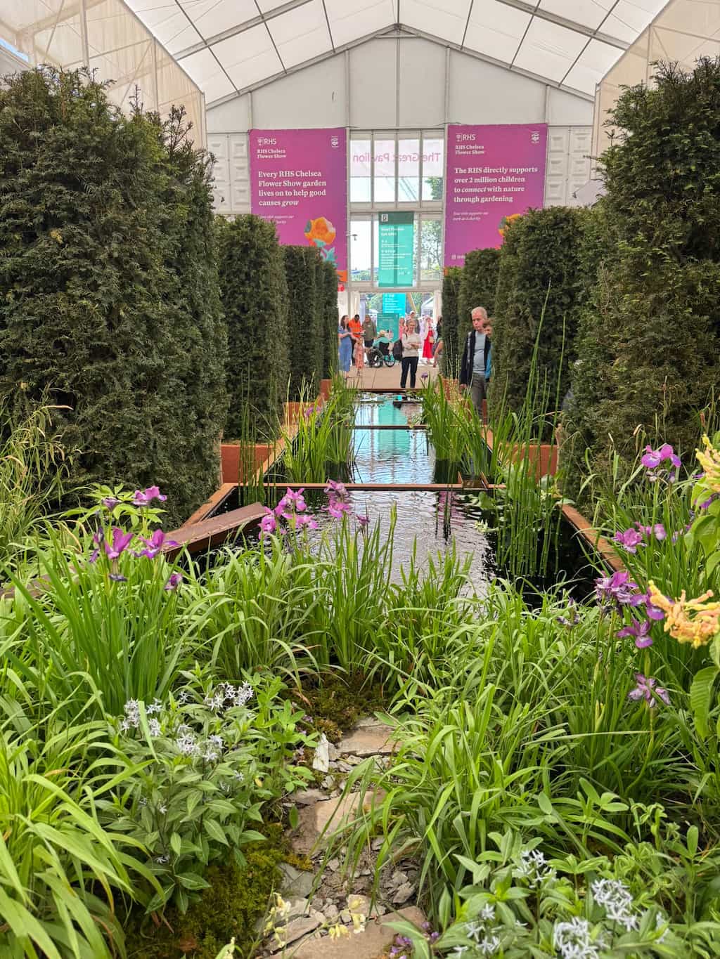RHS chelsea 2025 corten water feature Corten steel water pond feature with water inside and green plants growing at the RHS Chelsea Flower show 2025