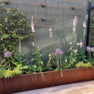 Corten steel trough planter in courtyard 3