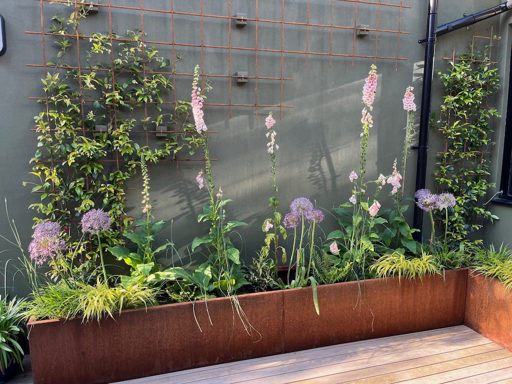 Corten steel trough planter in courtyard 3 corten steel trough planter planted with perennials and climbers in courtyard garden
