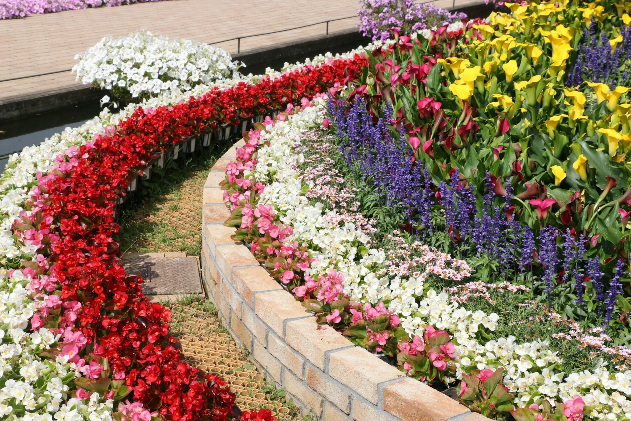 Brick edging holding back a curved bed of dense summer bedding